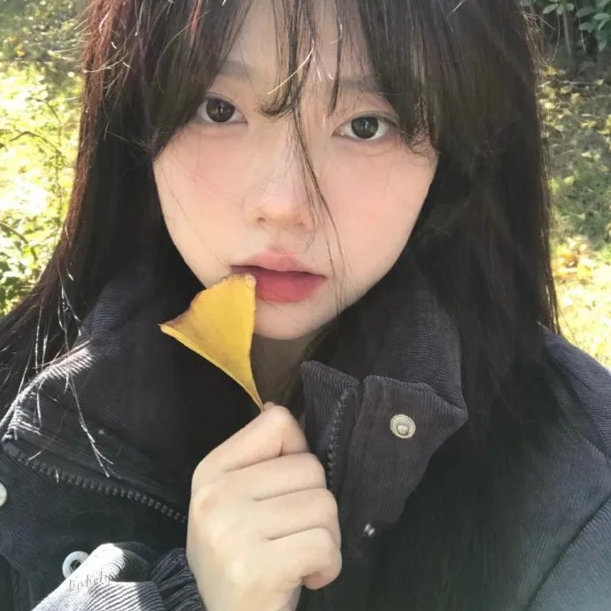 中央公园第一季